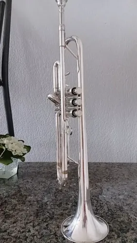 Vendo trompete ômega valor 700 reais,limpo e higienizado.