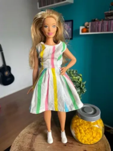 BARBIE CURVY E  BETO 