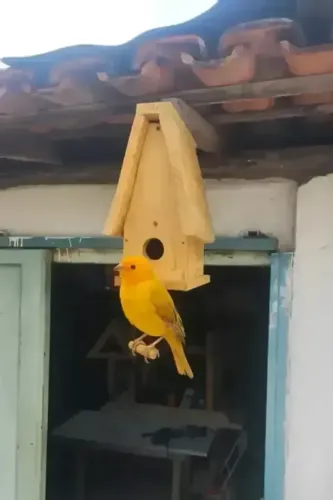 Casinha/ Abrigo/ Ninho para Passarinhos- Feito em Madeira Toda Parafusada