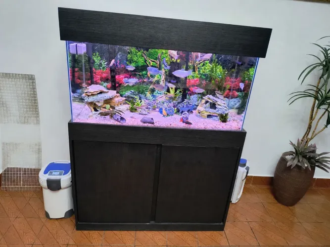 Aquário 200 litros