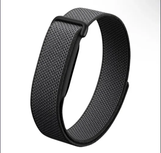 Google Fitbit Air
