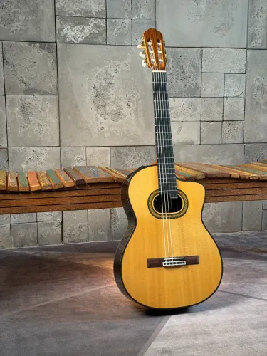 Takamine Th90 hirade
