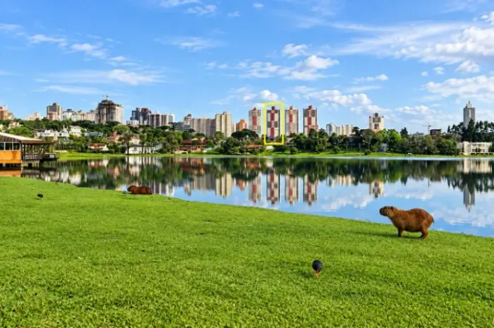 Apartamento ensolarado e com vista inesquecível para o Parque Barigui