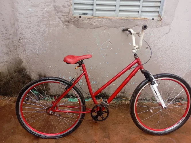 Bicicleta de adulto