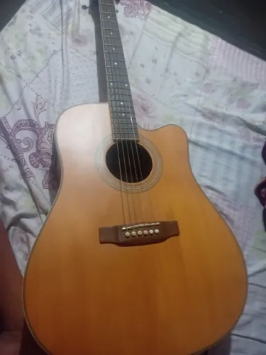 Violão Folk Dolphin WD-60 (Aço / Cutaway) - Detalhe na Elétrica