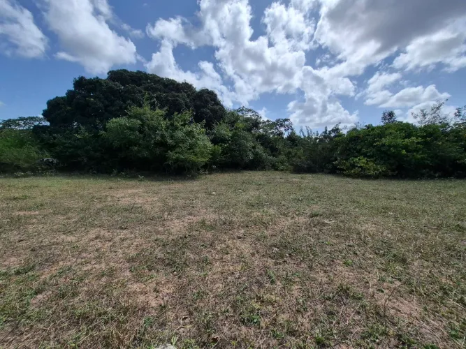 Vendo Terreno 40 x 53