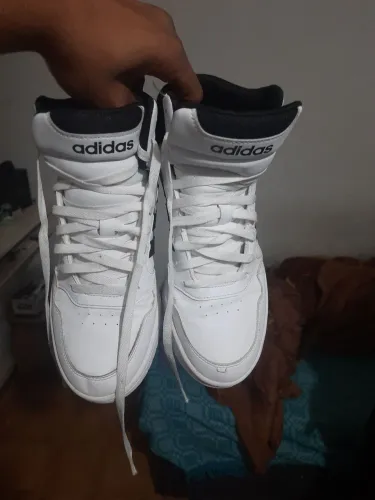 Adidas hoops 2.0
