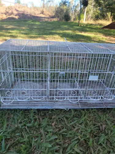 Gaiola de reprodução de pássaros pequenos