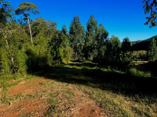 Terreno de chácara à venda | R$ 35 mil de entrada