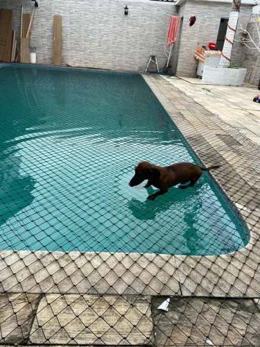 Redes de proteção 
