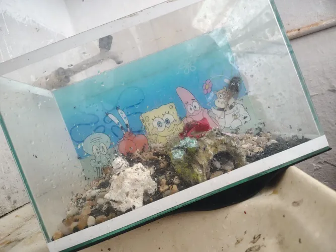Aquário 10L + bomba 
