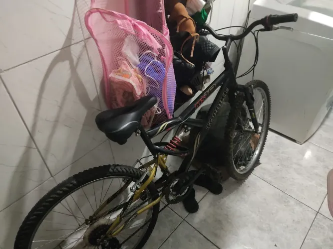 Bicicleta