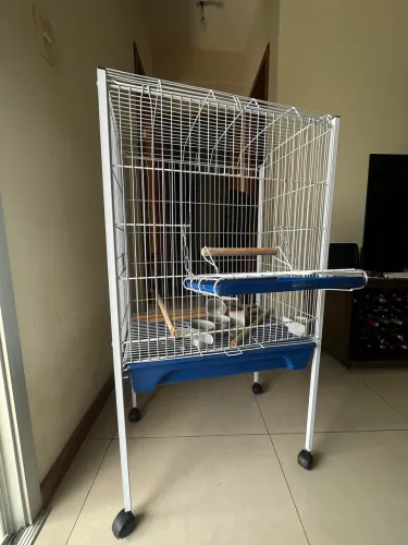 Gaiola para aves seminova