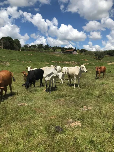 Terreno em Rio Manso - MG   OPORTUNIDADE 