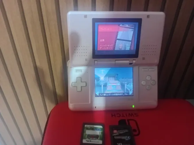 Nintendo ds fat