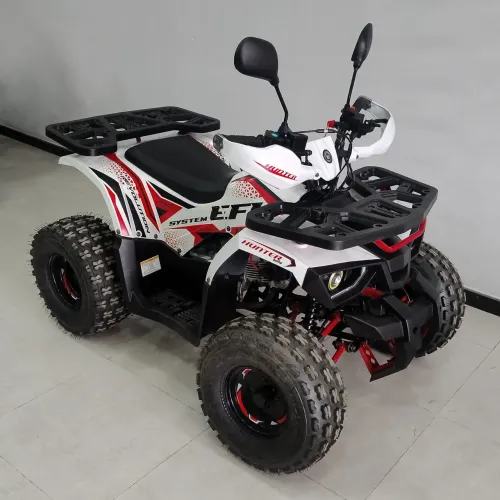 QUADRICICLO ATV 125 2025