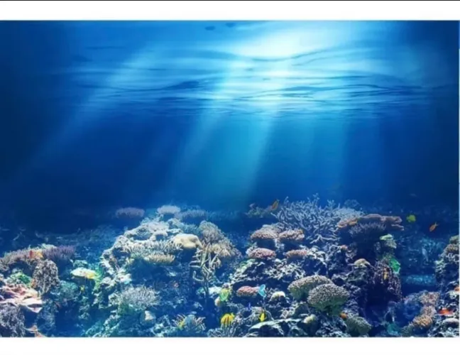 Fundo Fotográfico Fundo do mar - 2,2 x 1,5m