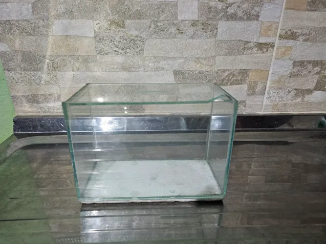 Aquário de Vidro Pequeno para Decoração 3L