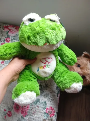 Sapinho de pelúcia