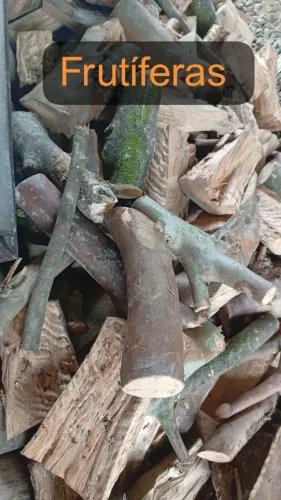 Lenha especial defumação frutíferas 