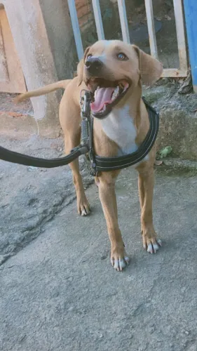 Doação