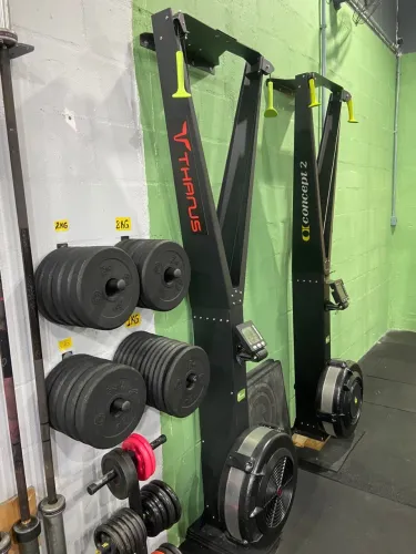 Ski erg Thanus