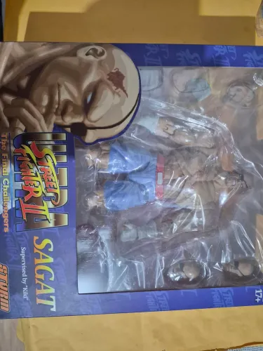 SAGAT STORM COLLECTIBLES 