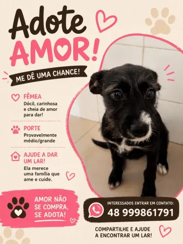 ? ADOÇÃO RESPONSÁVEL ? AMORA ?
