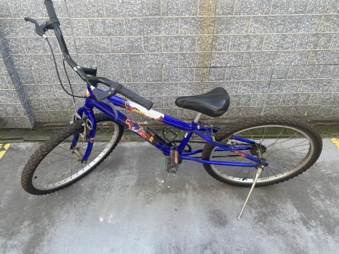 Bicicleta