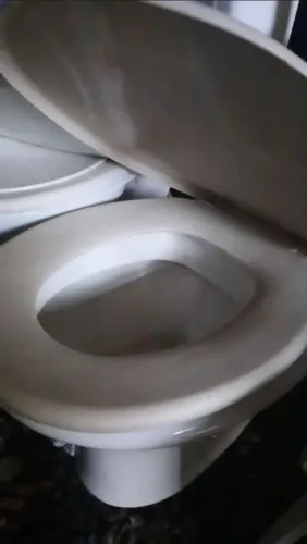 Sanitário com caixa alta