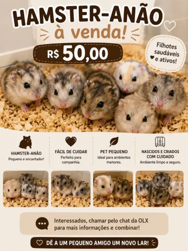 Hamster anão a venda