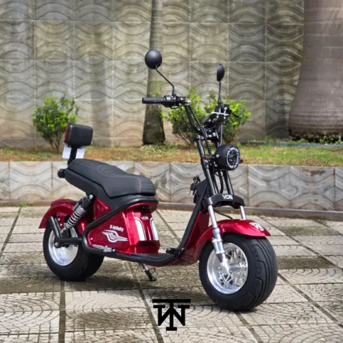 Scooter Infinity 1000W 2026
