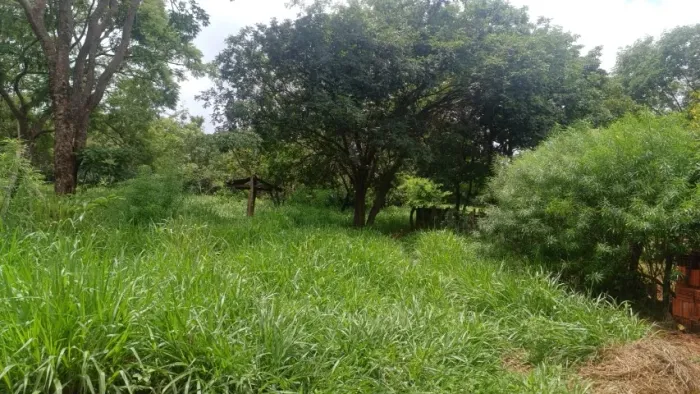 OPORTUNIDADE - SÍTIO 15 HECTARES PRÓXIMO A MONTES CLAROS
