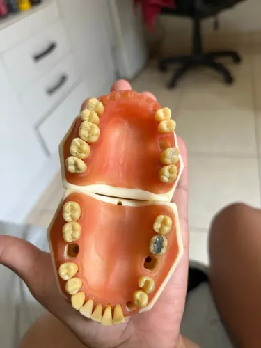 Refil manequim odontológico