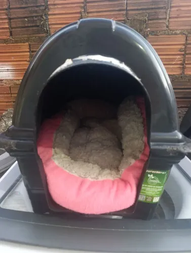 Vendo casinha e brinquedos de cachorro 80 preço negociável