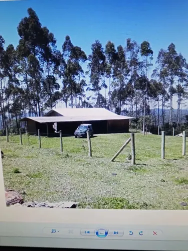 Fazenda com plantação de pinus e eucalipttus em produção