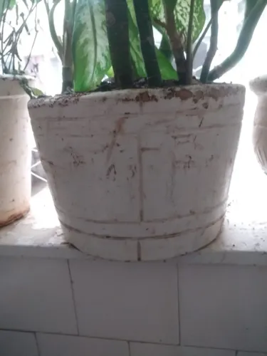 Vasos de Planta