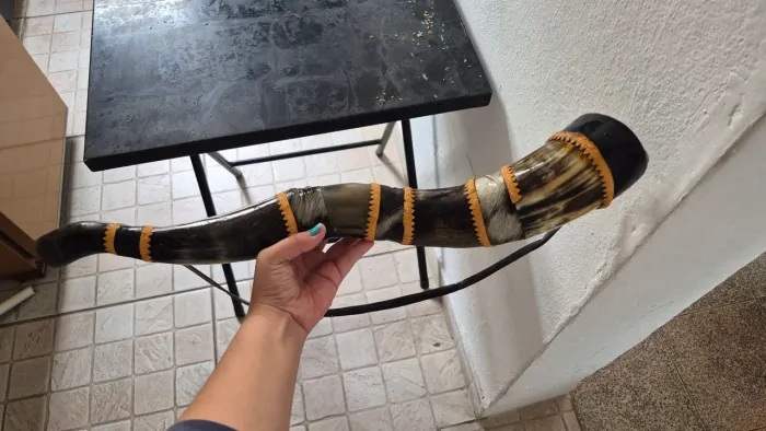 Berrante profissional feito com chifre de boi, pequeno