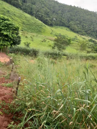 Chácara de 2,6 hct a venda na Região do Cedro/Água Fria