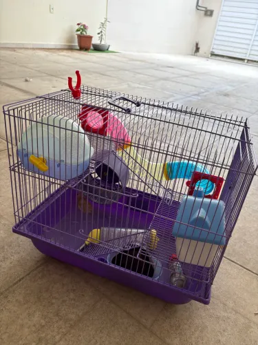 Gaiola Hamster 2 andares