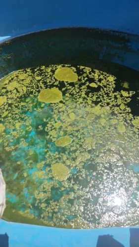 LIMPEZA E HIGIENIZAÇÃO CAIXAS D'ÁGUA E CISTERNAS RESIDENCIAL E CONDOMÍNIOS.