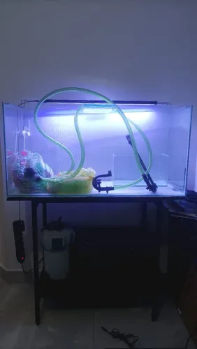 Aquário 200L com móvel, canister, luminária e acessórios