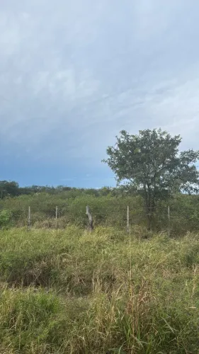 Vendo 2 Lojas em Ponta Porã