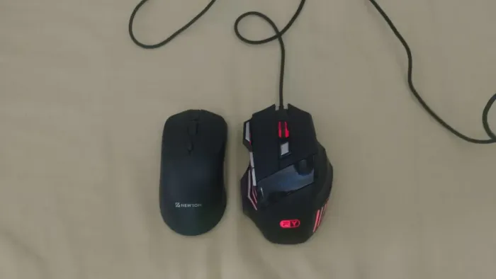 Mouse