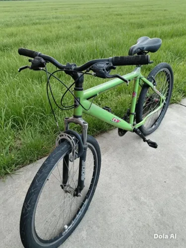 Bike Gallo Vendo ou Troco 