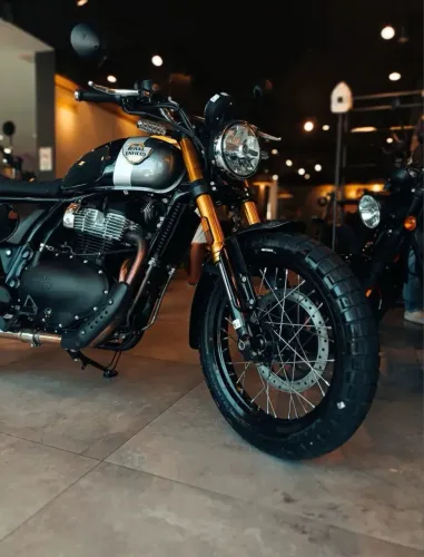 BEAR 650 - JADE