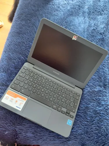Chromebook Samsung XE501C13
