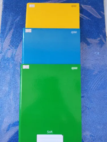 Caderno BROCHURA 96 folhas grande (valor unitário)