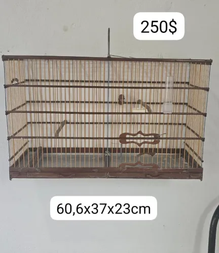 Gaiola 
