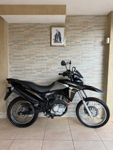 Bross 2023/2023